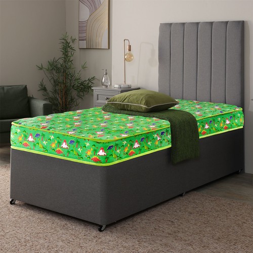 Dreamy dinosaur kids pinna - dinosaur,